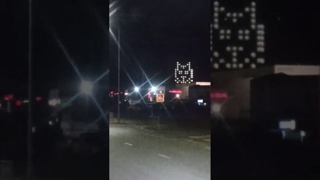 Тюменский котик моргает удачи