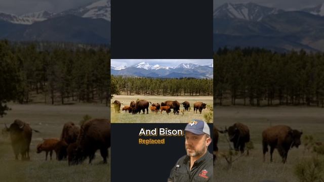 Largest ranch in New Mexico