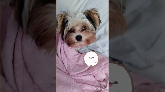 1000024528.mp4