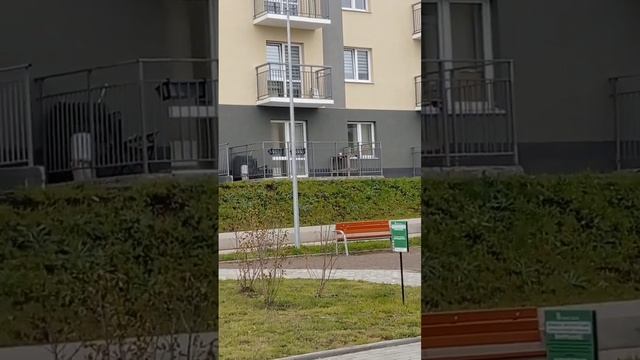 #красноярск #новалэнд