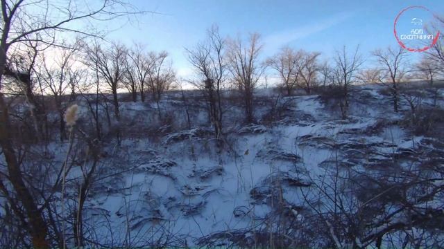 Охота. Зима 2023г. Лиса