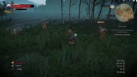 The Witcher 3: Wild Hunt_20160527201935