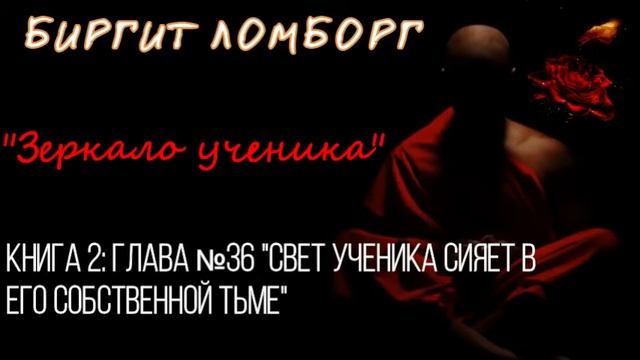 БИРГИТ ЛОМБОРГ: Зеркало ученика Книга 2. Гл. 31-40