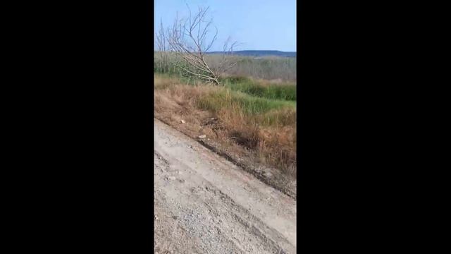 Продаю перспективный участок в коттеджном посёлке Феодосии в СПК Ручеёк.