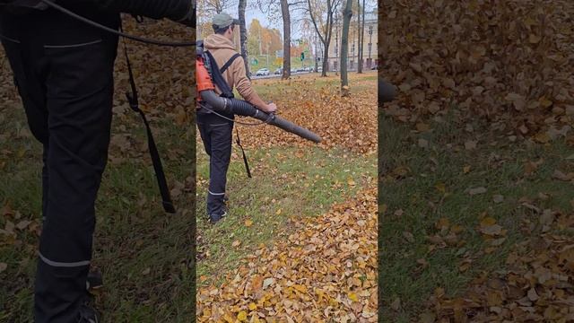 Еще немного сдувания листьев вам в ленту!