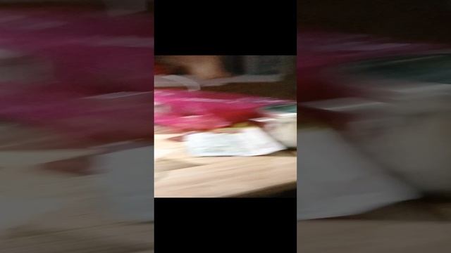VID20241013201011.mp4