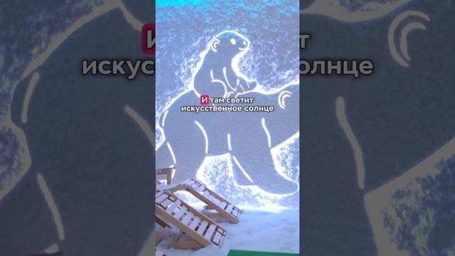 В этом петербургском детсаду круглый год светит солнце! #shortsvideo #shortvideo