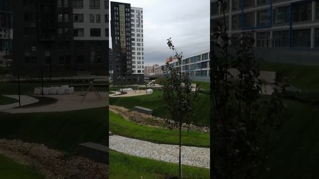 Линейный парк в ЖК Скандинавия 18.08.2019