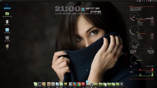 Linux mint 17.1