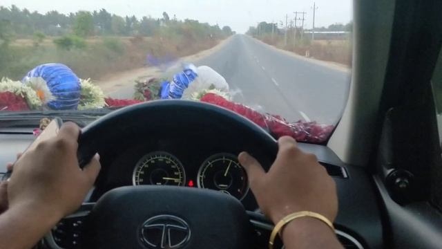 Top speed#safari strome