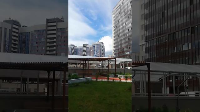 Звезды Столиц СПб