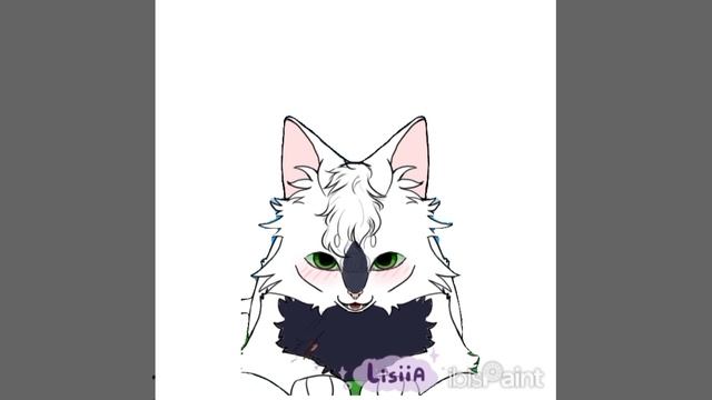 8 SHI/meme warrior cats