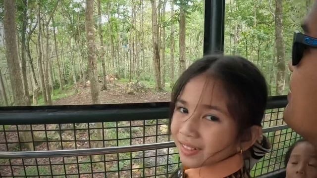 Cebu Safari Adventure 2022 🐅🐿🦔🙊🦁🦋