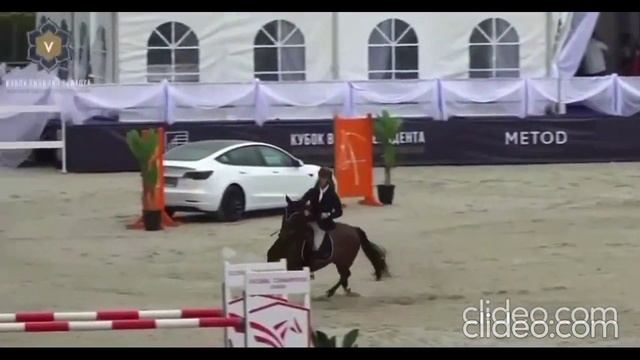 Конкур 135, можно под ребёнка. Арт.: 0641