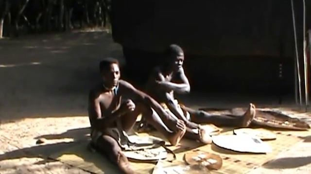 Zuid Afrika dl 5 via Swaziland naar Krugerpark