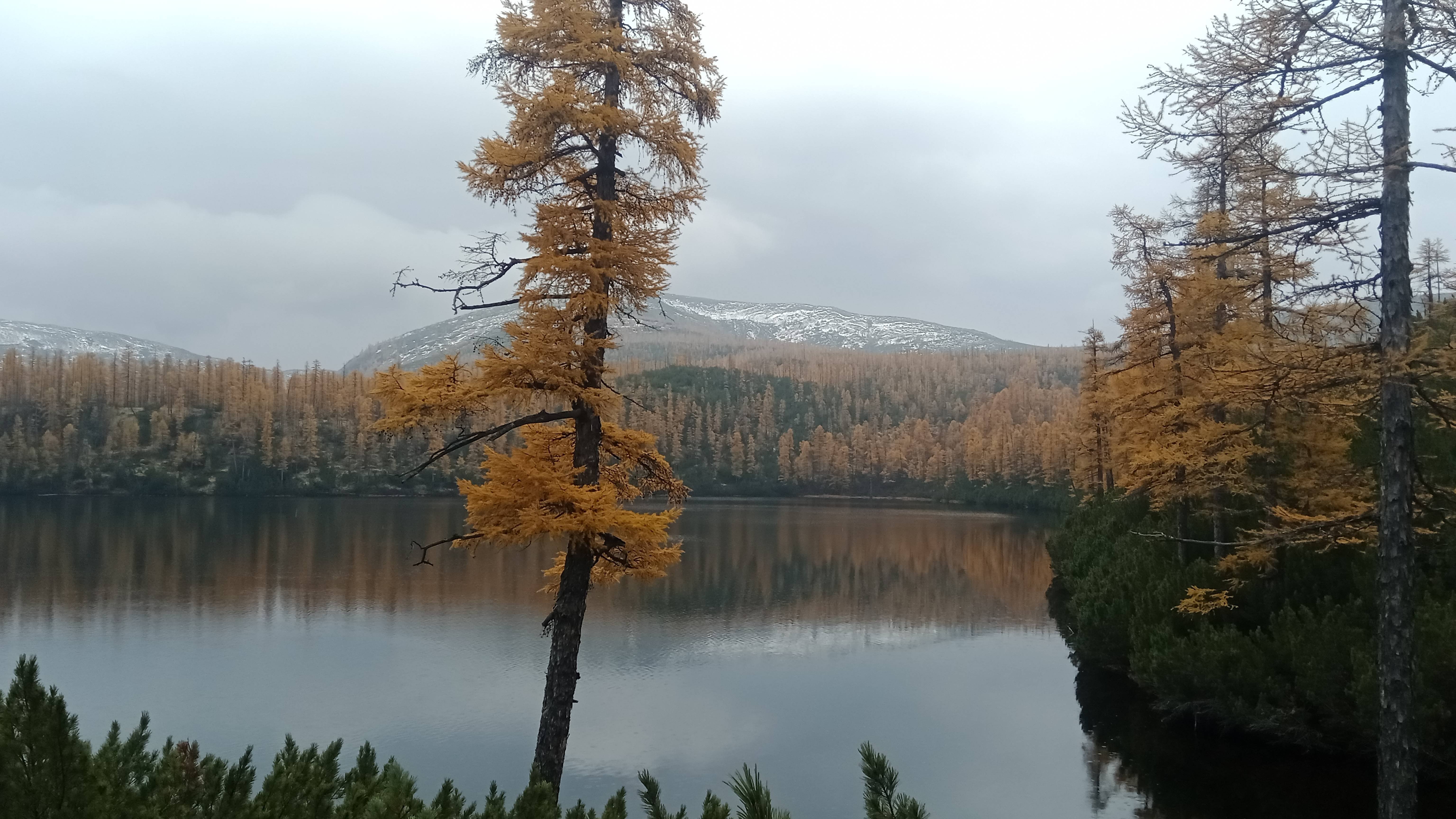 Геофизики на Становом хребте