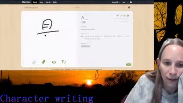 Character writing in TOFU Learn and Skritter