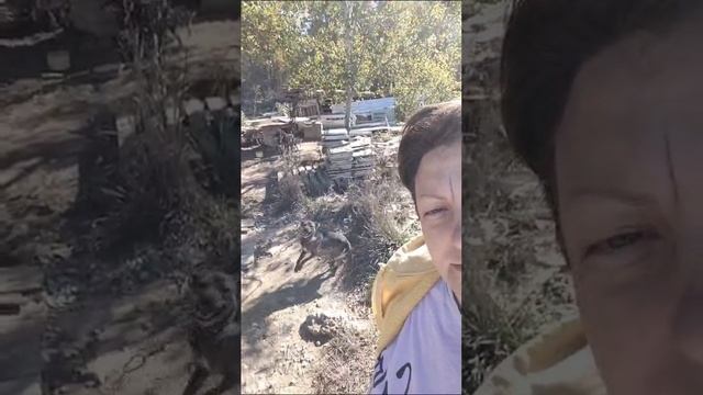 Привет с полей