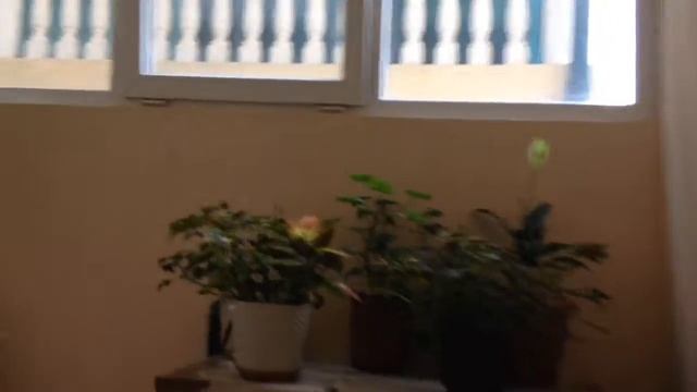 Сочи двушка за 6 700 000 подбор недвижимости в Сочи