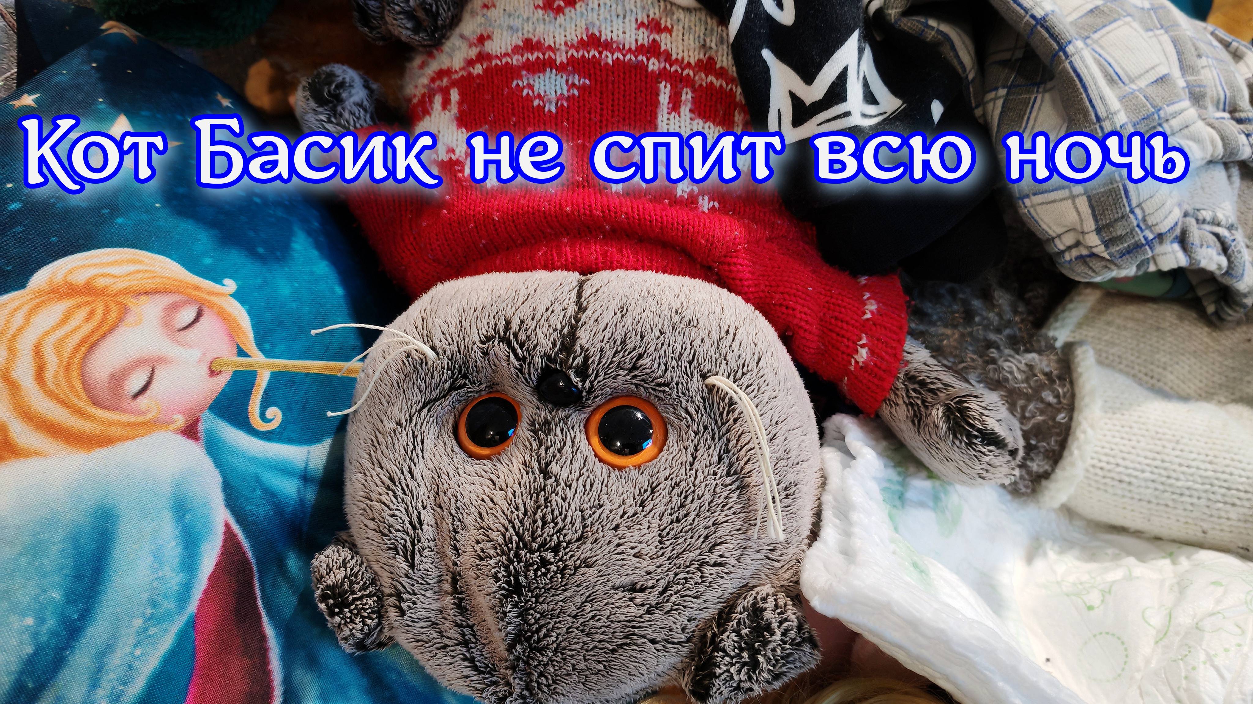 кот Басик не спит всю ночь