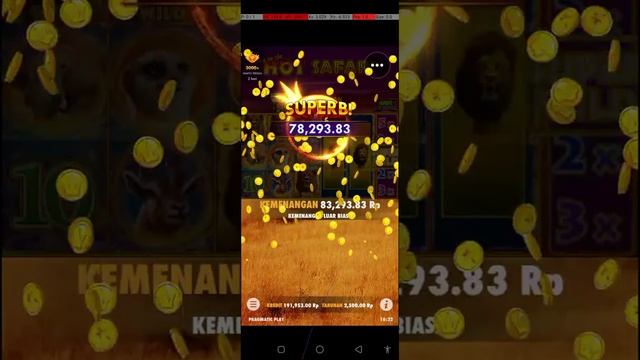 Scater di HOT Safari