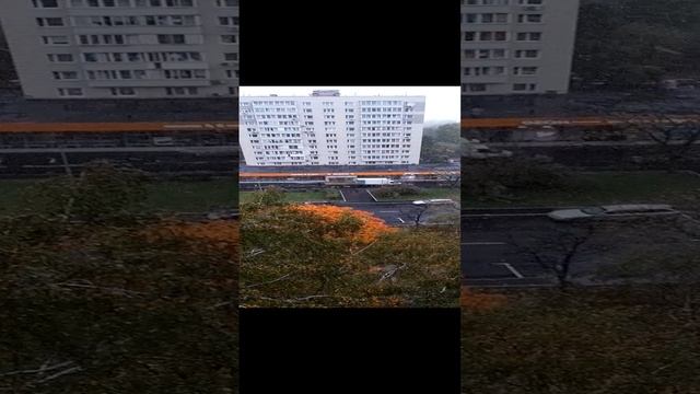 Золотая осень 🍂