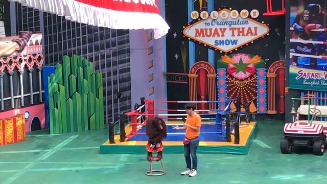 Monkey Show 2018 (Full Show) Safari World bangkok,Thailand