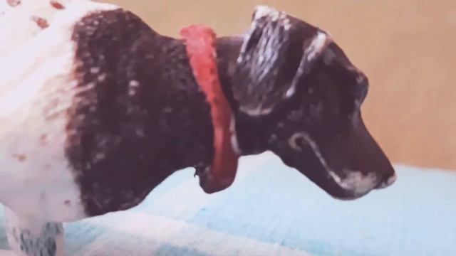 Сериал шляйх волки серил шляйх лошади