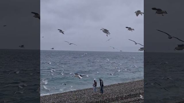 олимпийский парк Сочи чёрном море набережная