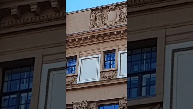 Питерские карапузы