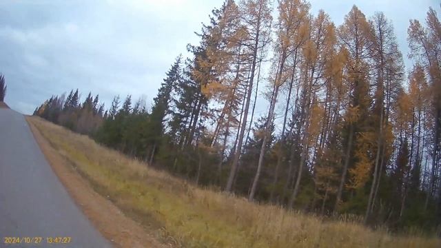 27 октября. 
катим до границы района 🚴