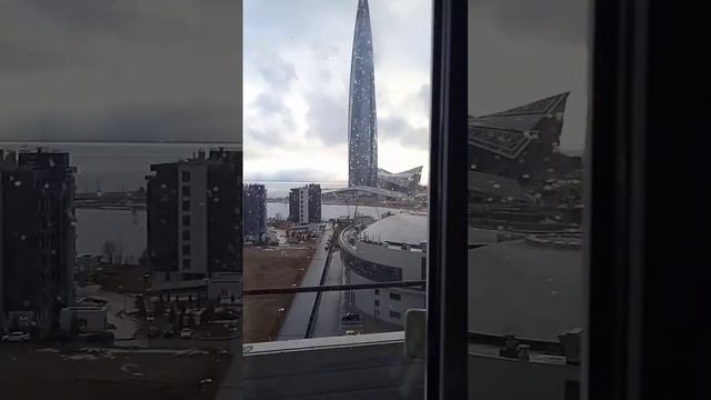 приморский проспект 169