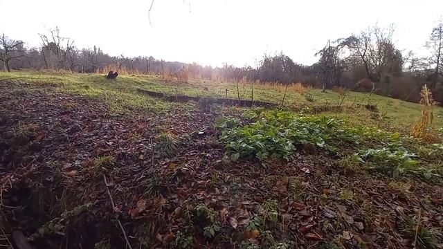 Вардане-Верино 20  соток