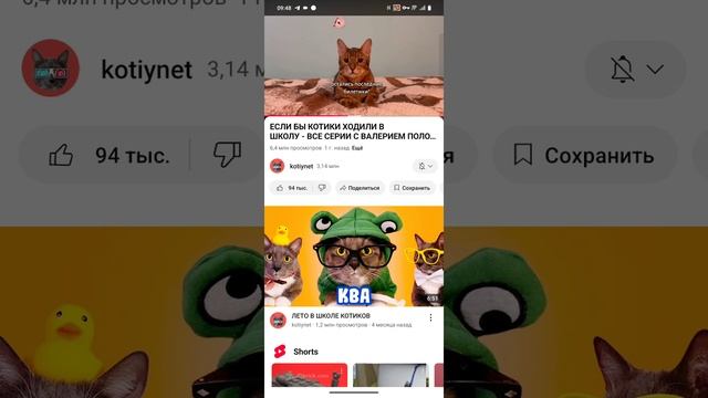 смотрим смешные видео с котийнет