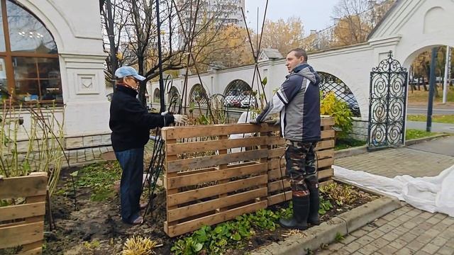 Подготовка Сада к Зиме.Установка каркасов,укрытие спанбондом крупнолистных гортензий