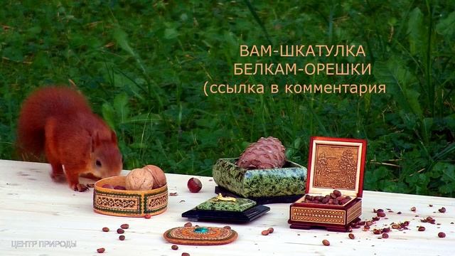 УЛЫБАЙСЯ ЧАЩЕ