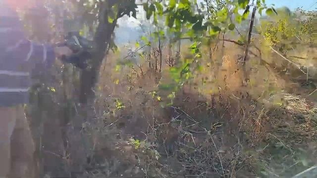 КУПИЛИ ДОМ В ДЕРЕВНЕ/УБИРАЕМ УЧАСТОК/ РЕМОНТ СТАРОГО ДОМА #домвдеревне #дача