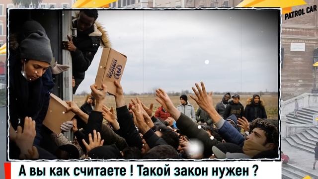Бастрыкин в ярости/Больше никаких уступок/Всех судимых мигрантов предложили высылать из России.