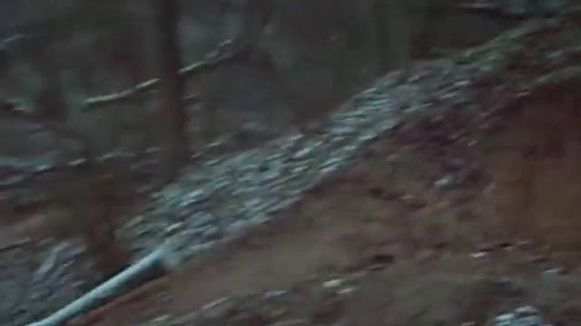 Дроп в Куркино