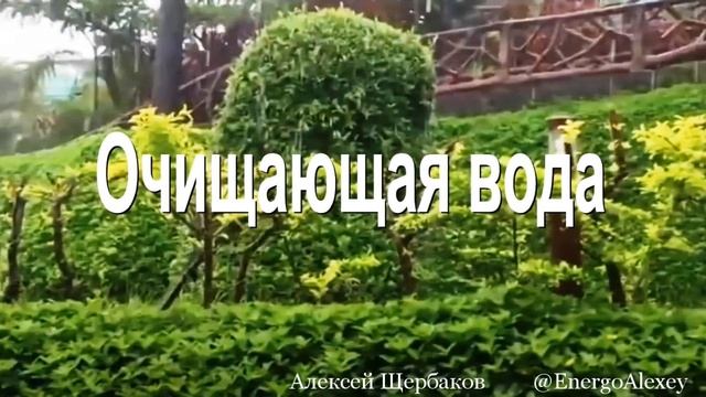 Твои Вершины