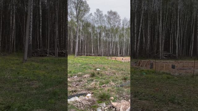 Продажа земельного участка 15 соток в СНТ Искра -2 пос. Ватутинки, г Москва