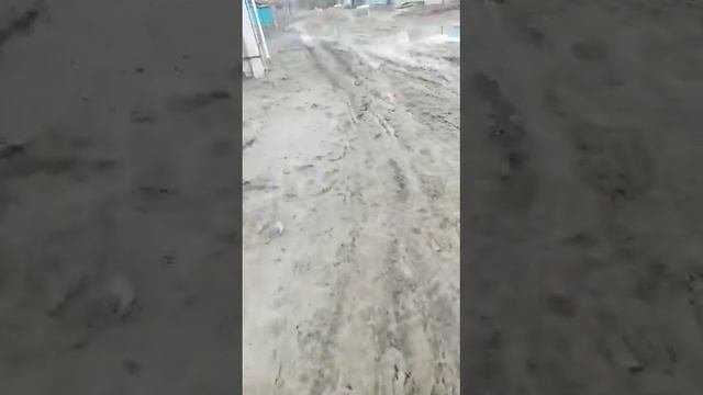 Halyk Bank Ushtobe уштобе улица в грязи 👎