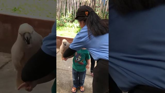 Holding bird at royal safari 2018