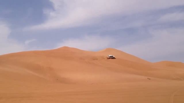 BANZAi safari 2012