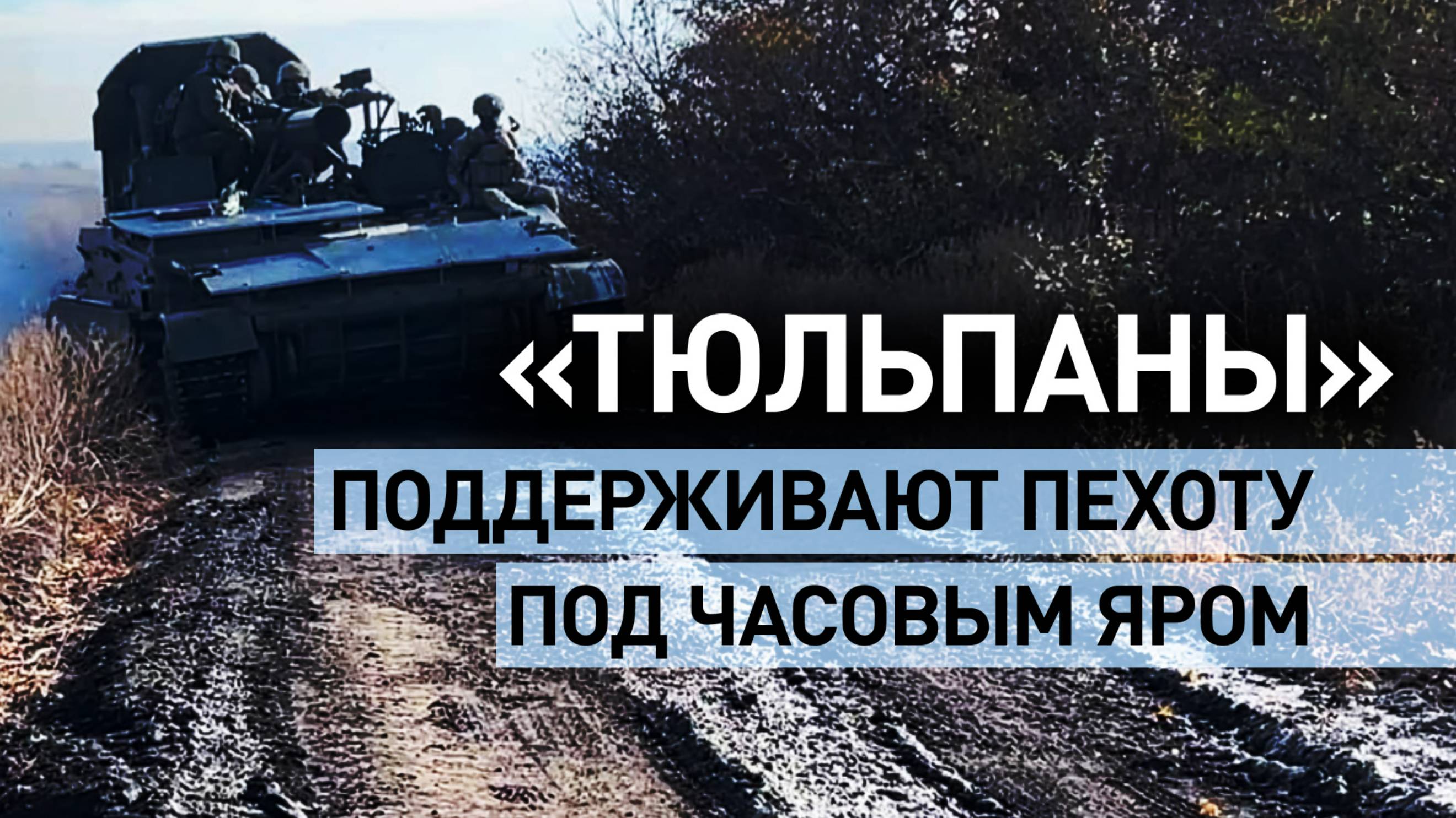 «Наши снаряды поражают всё»: как работают миномёты «Тюльпан» под Часовым Яром