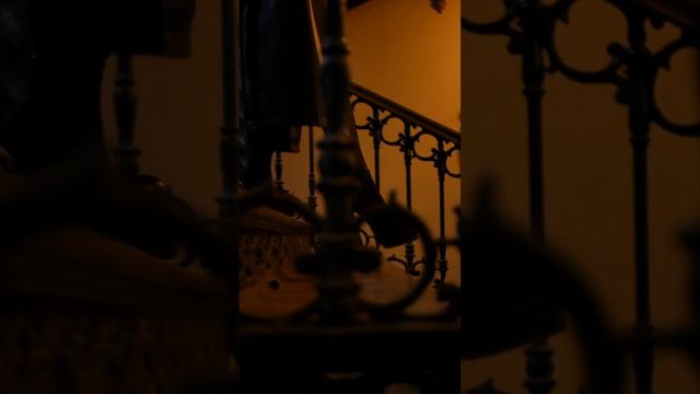 Beautiful gothic girl ZHR Video Production