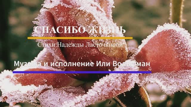 СПАСИБО ЖИЗНЬ - поёт ИЛЯ ВОЛЬФМАН