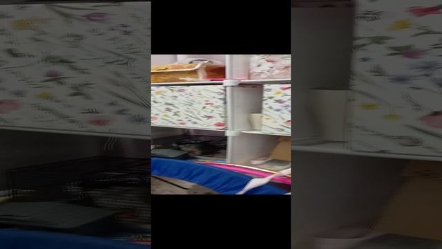 1000001070.mp