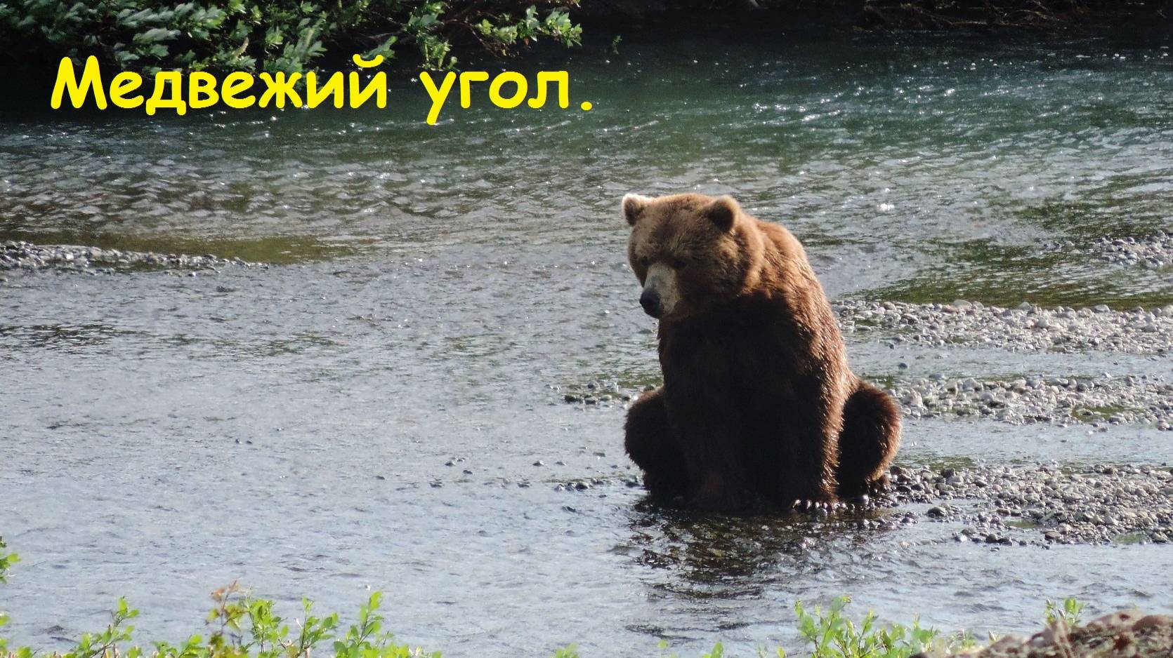 Медвежий угол.