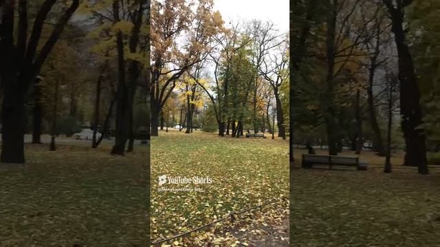 Санкт-Петербург. 25.10.2024. Александровский парк. Девочка с птичкой